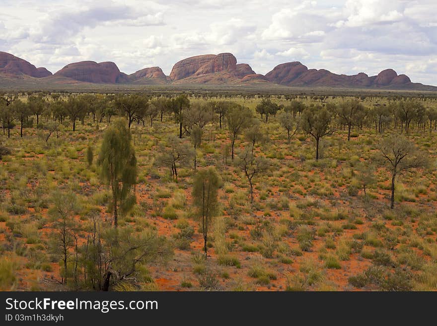 Cloudy sky up to lonely rock.Around is desert forest