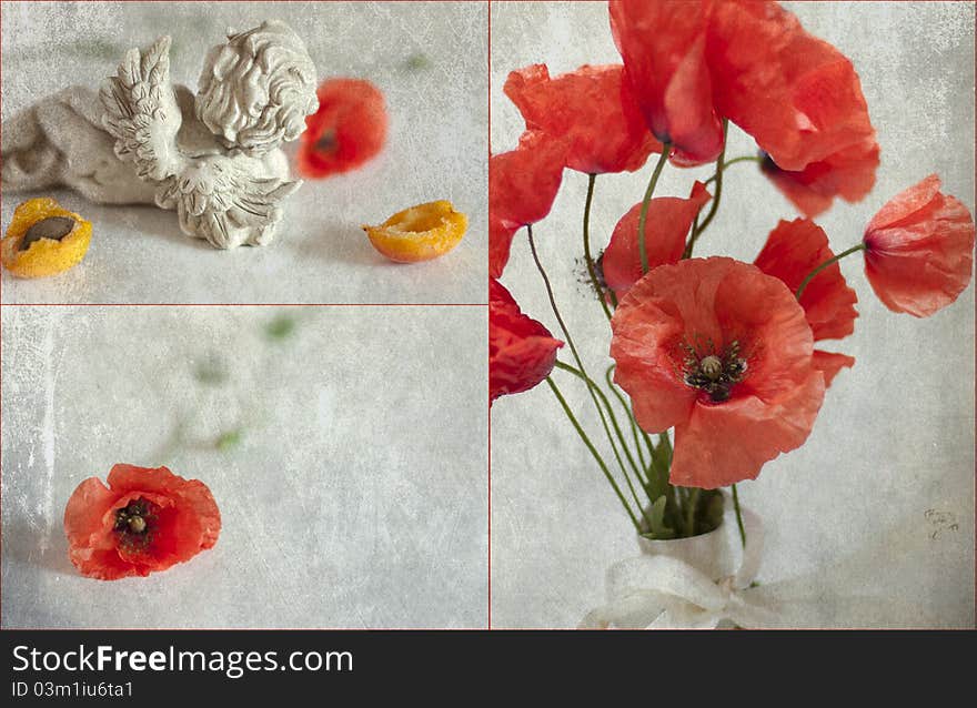 Poppies