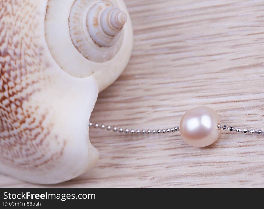 Scallop Shell with Pearl on wooden background. Scallop Shell with Pearl on wooden background