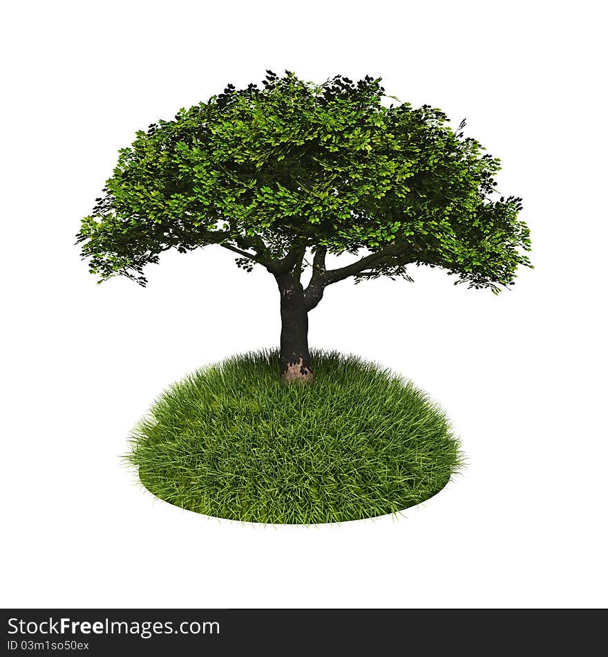 Green tree with grass