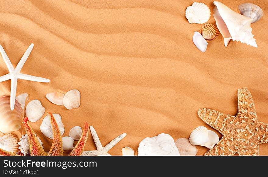 Sand background with conch and starfish