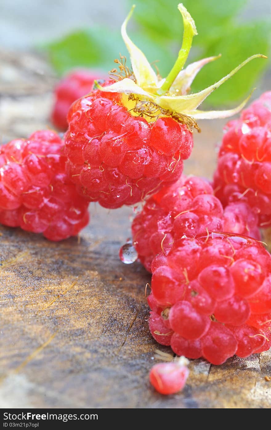 Raspberries on wood