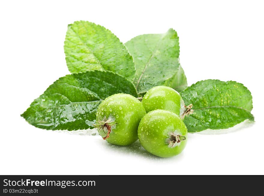 Early fresh apples isolated on a white background