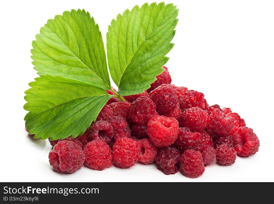 Fresh raspberry and green leaf