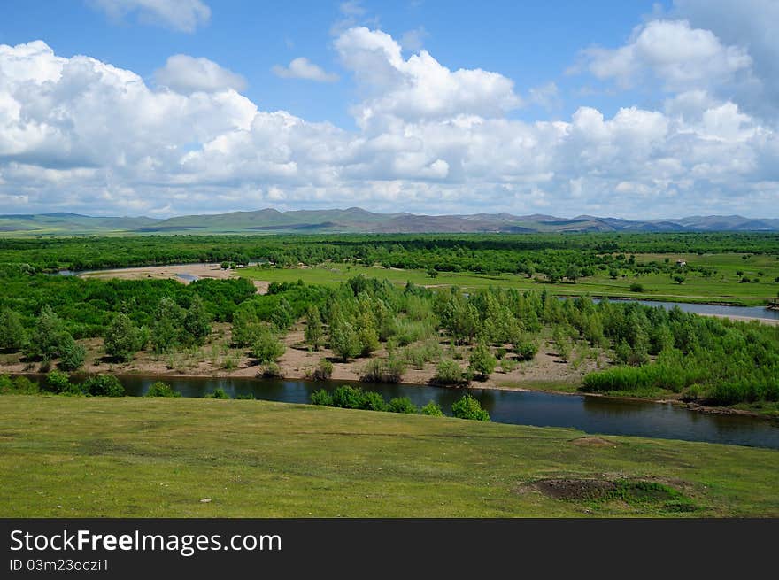 Wetland Landscape