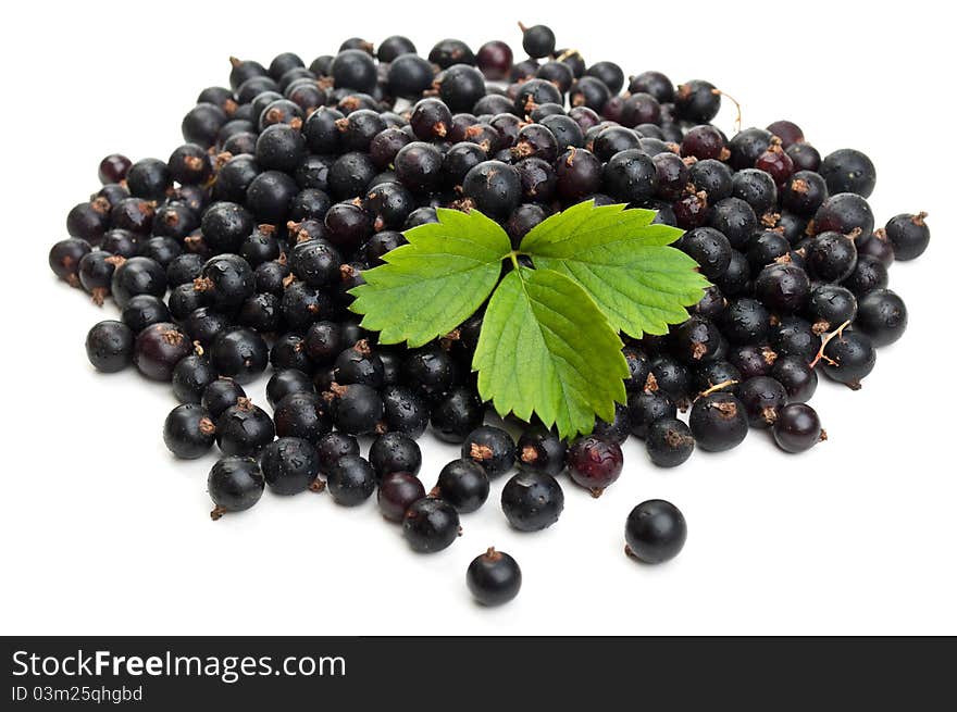 Fresh Blueberries With Green Leaf