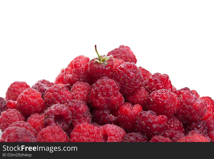 Fresh raspberry