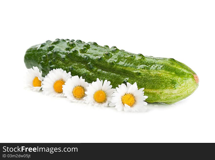 Fresh cucumber with flowers isolated on a white background