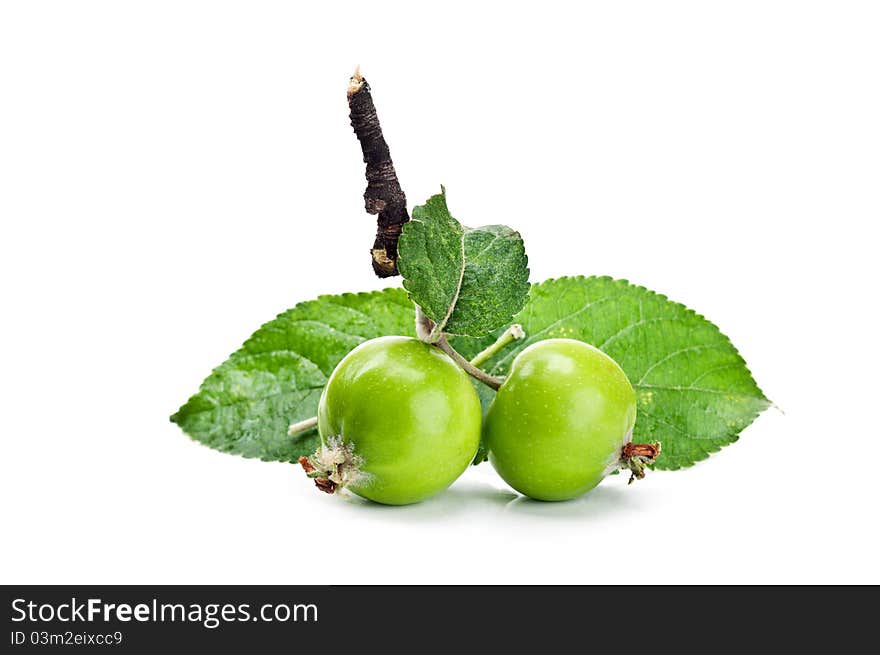 Early fresh apples isolated on a white background