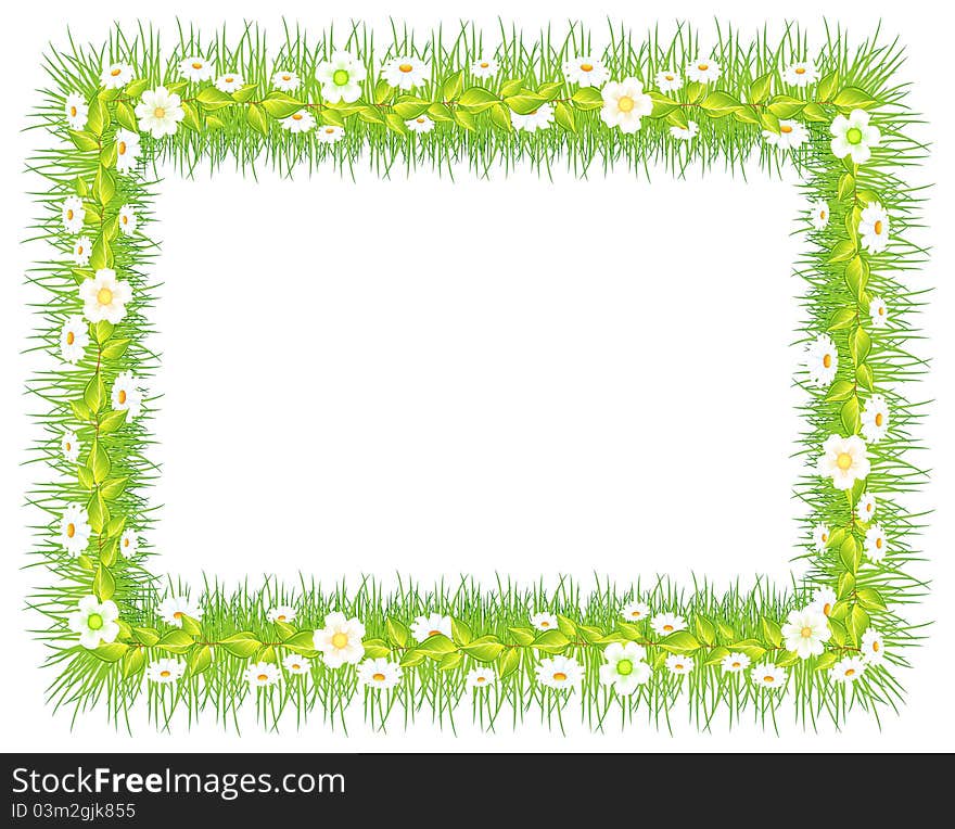 Frame with green grass and flowers, on white background  illustration. Frame with green grass and flowers, on white background  illustration