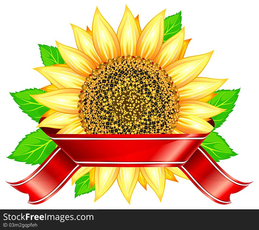 Label design with sunflower & leafs and red ribbon,  illustration. Label design with sunflower & leafs and red ribbon,  illustration