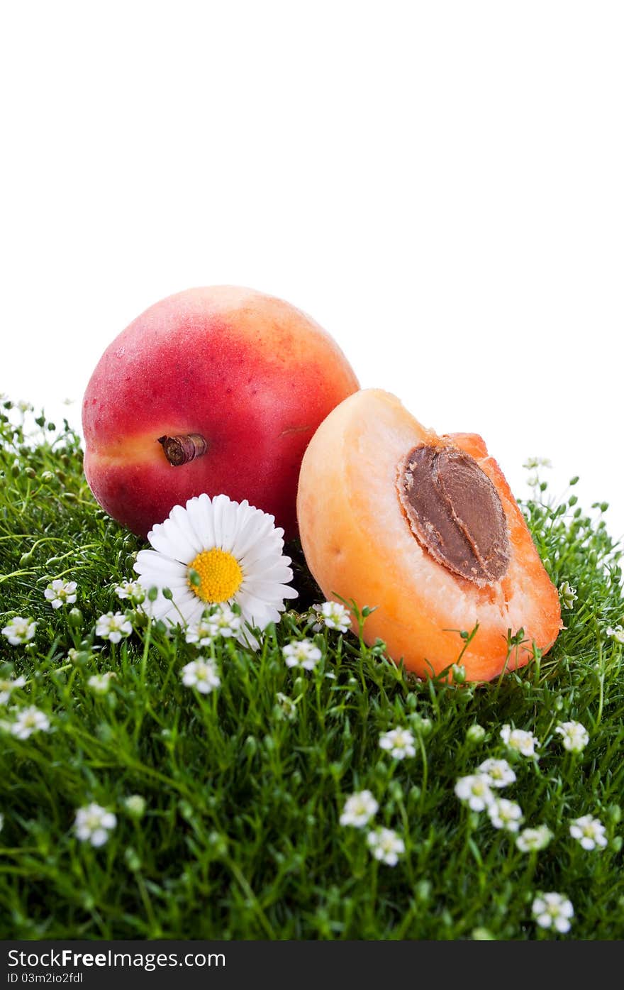 Fresh apricot on a green grass isolated on a white background