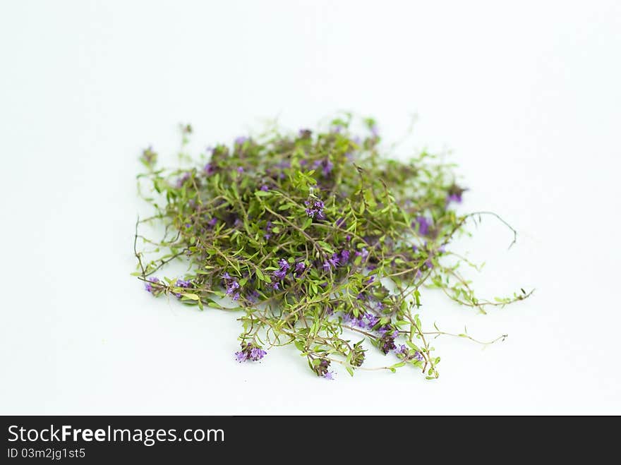 Herbal medicine,forest thyme on white background