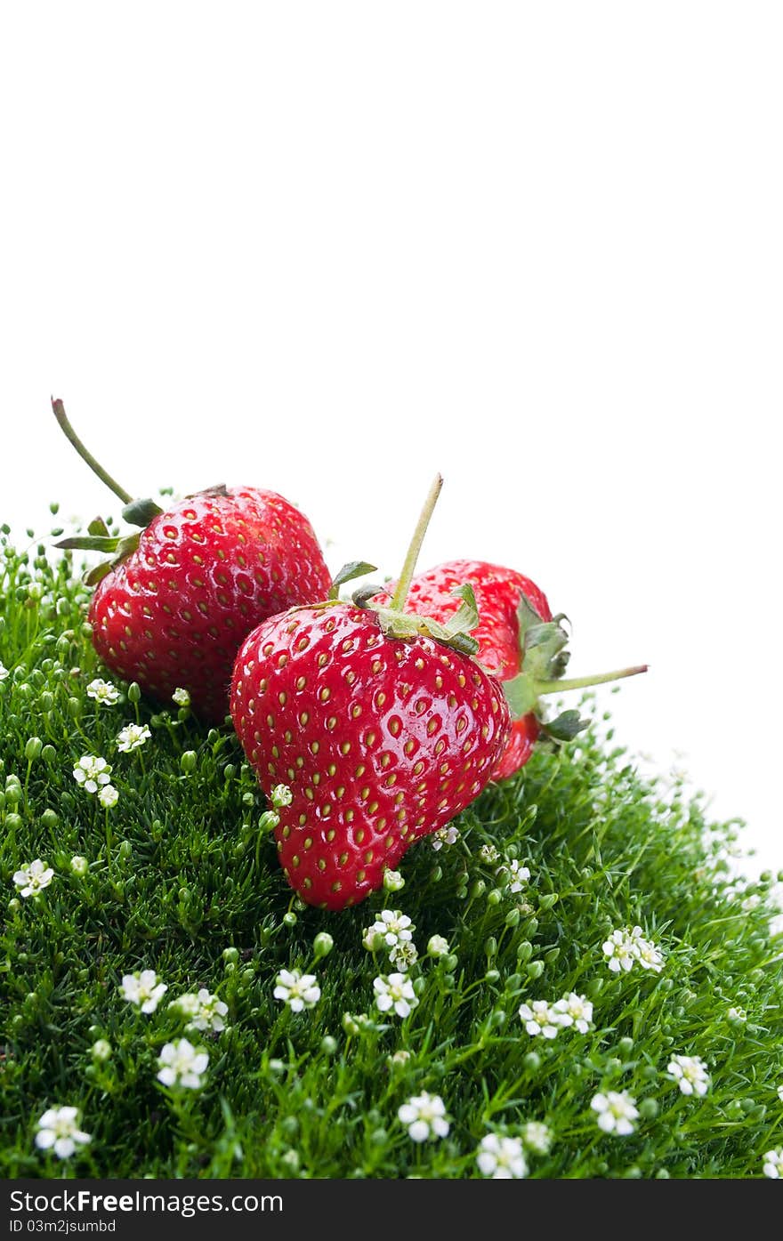 Fresh strawberry on a green grass isolated on a white background