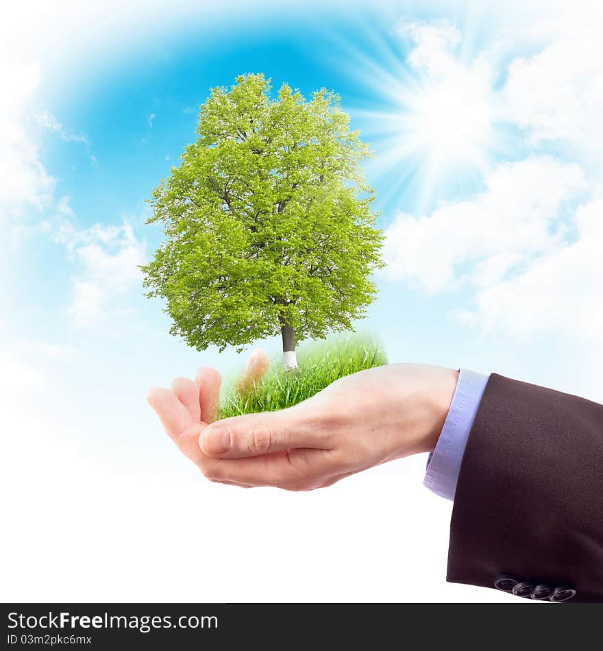 Human hand with grass and tree on sky background. Collage.