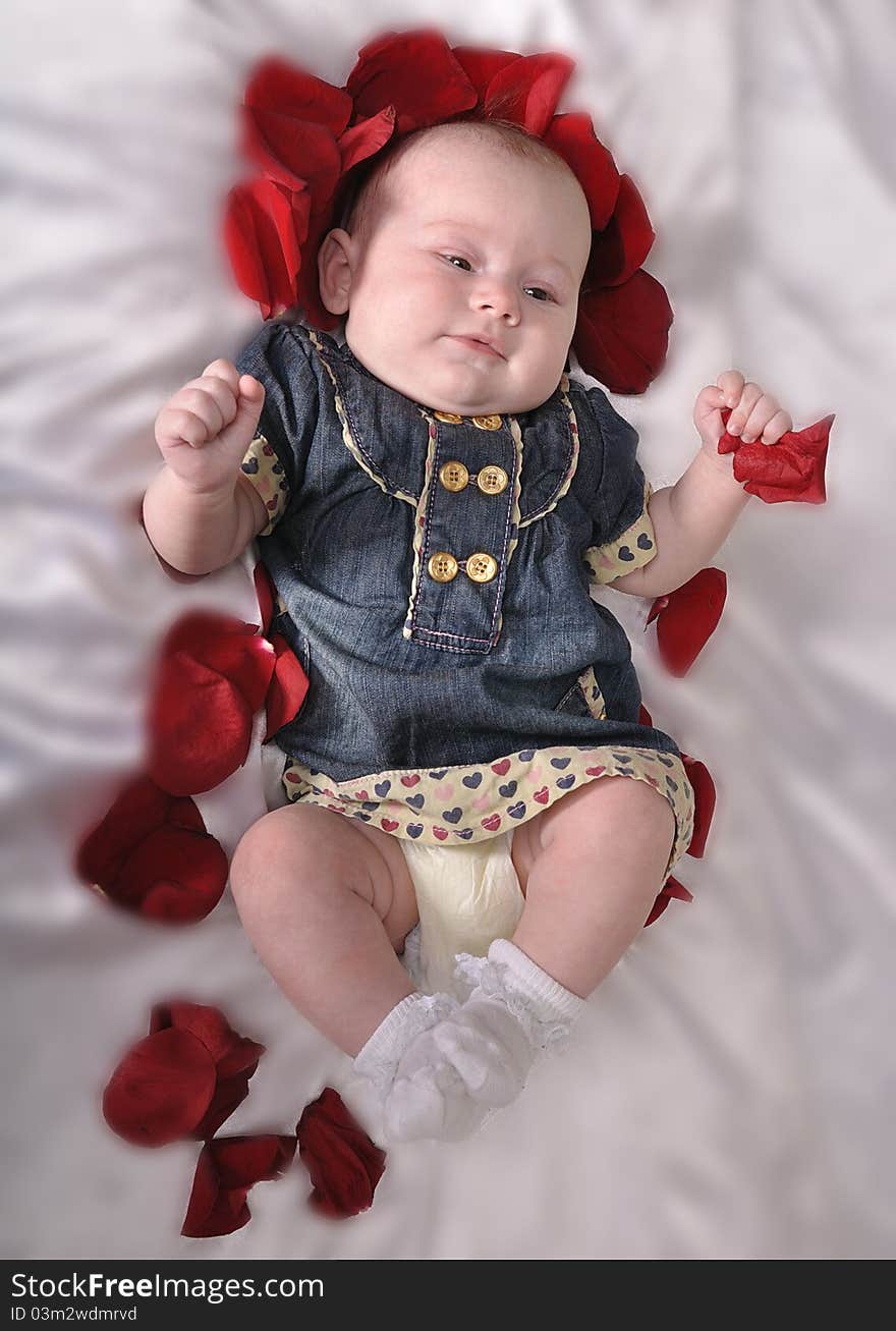 Baby With An Entourage Of Red Petals Rose