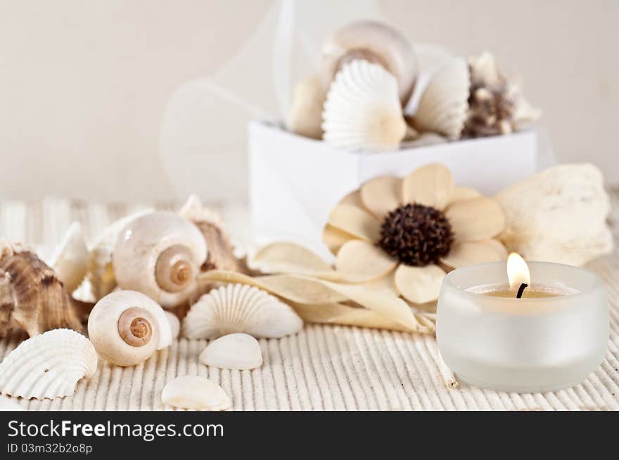 Tea candle, dried aromatic flowers and shells. Tea candle, dried aromatic flowers and shells