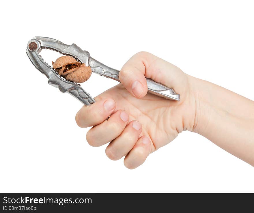 Hand cracking a walnut