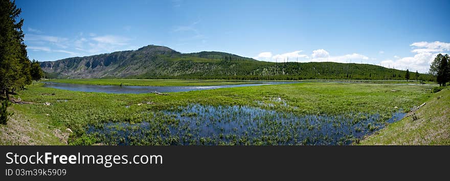 Green Yellowstone Wetlands