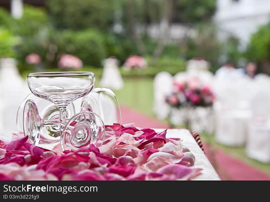 Champagne glass and rose petals