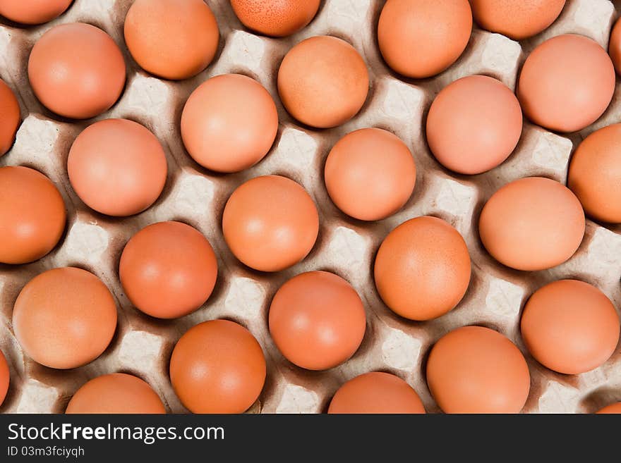 Close up of eggs in cardboard container