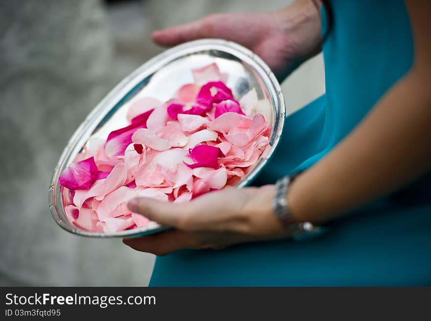 Flower petals ready to be tossed