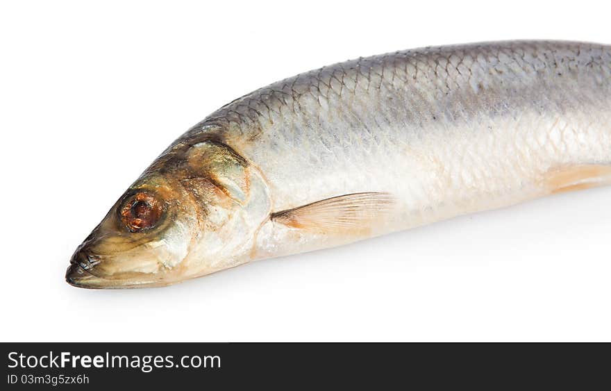 Herring