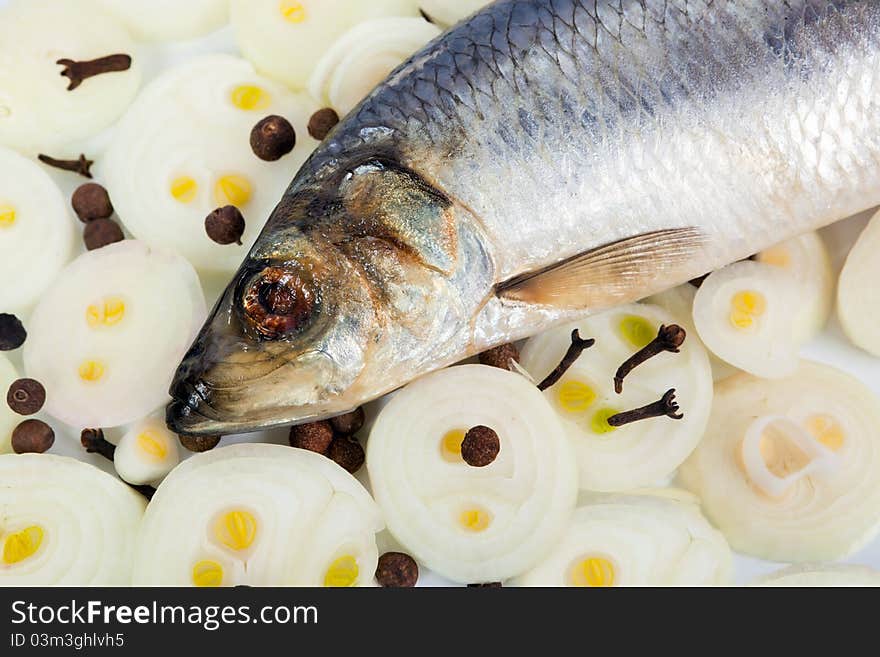 Herring with onions and spices