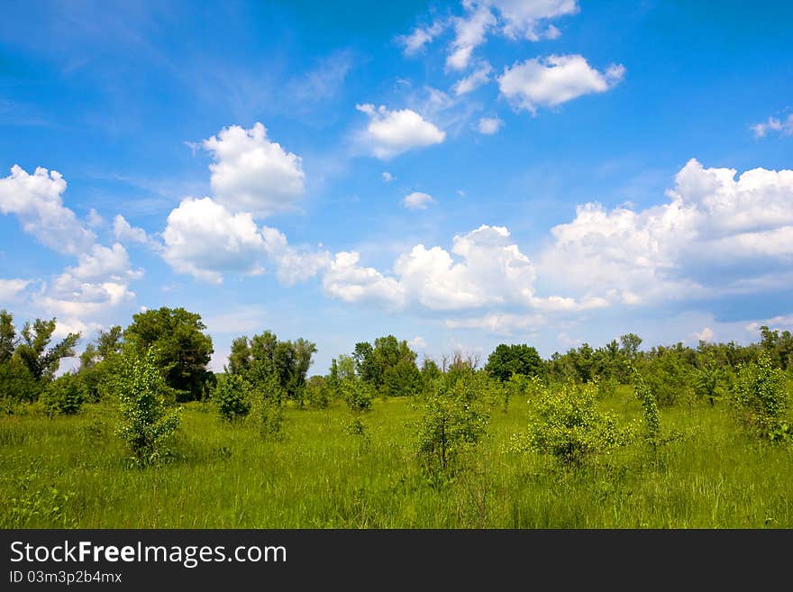 Nice landscape in summer steppe. Nice landscape in summer steppe