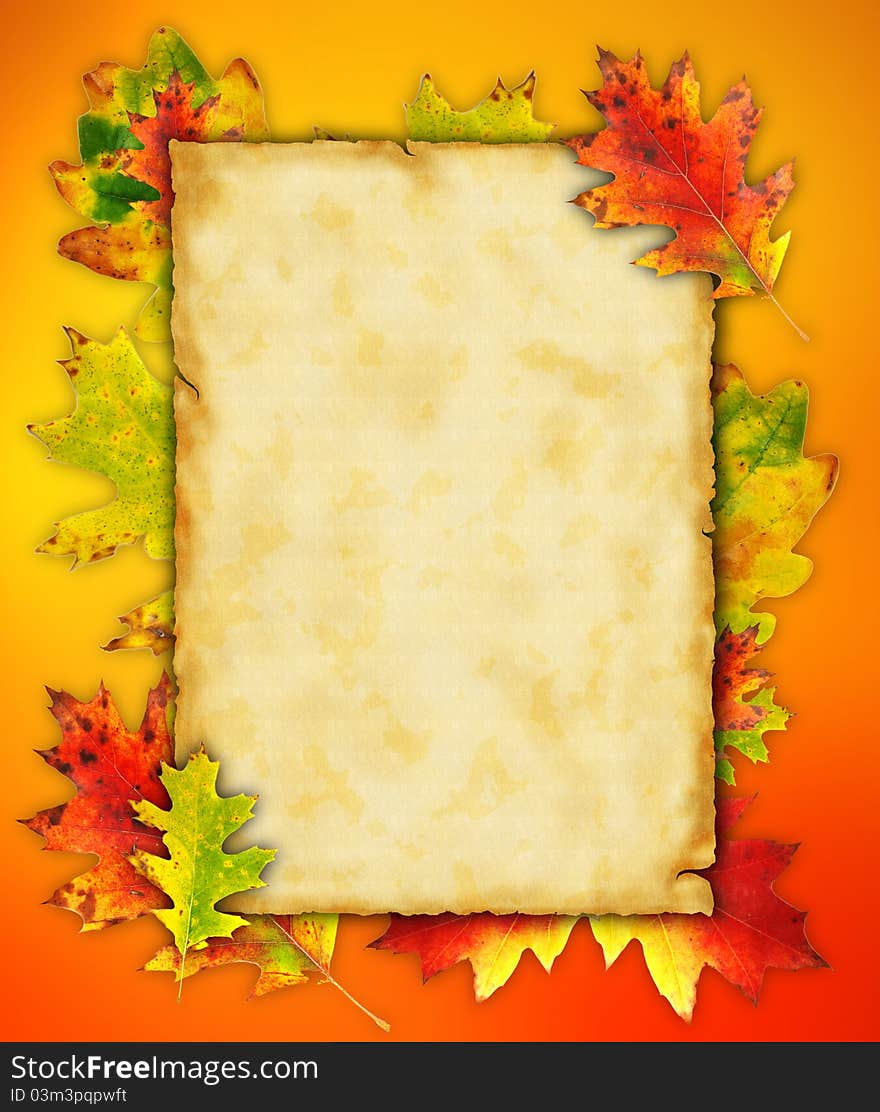 Autumn background