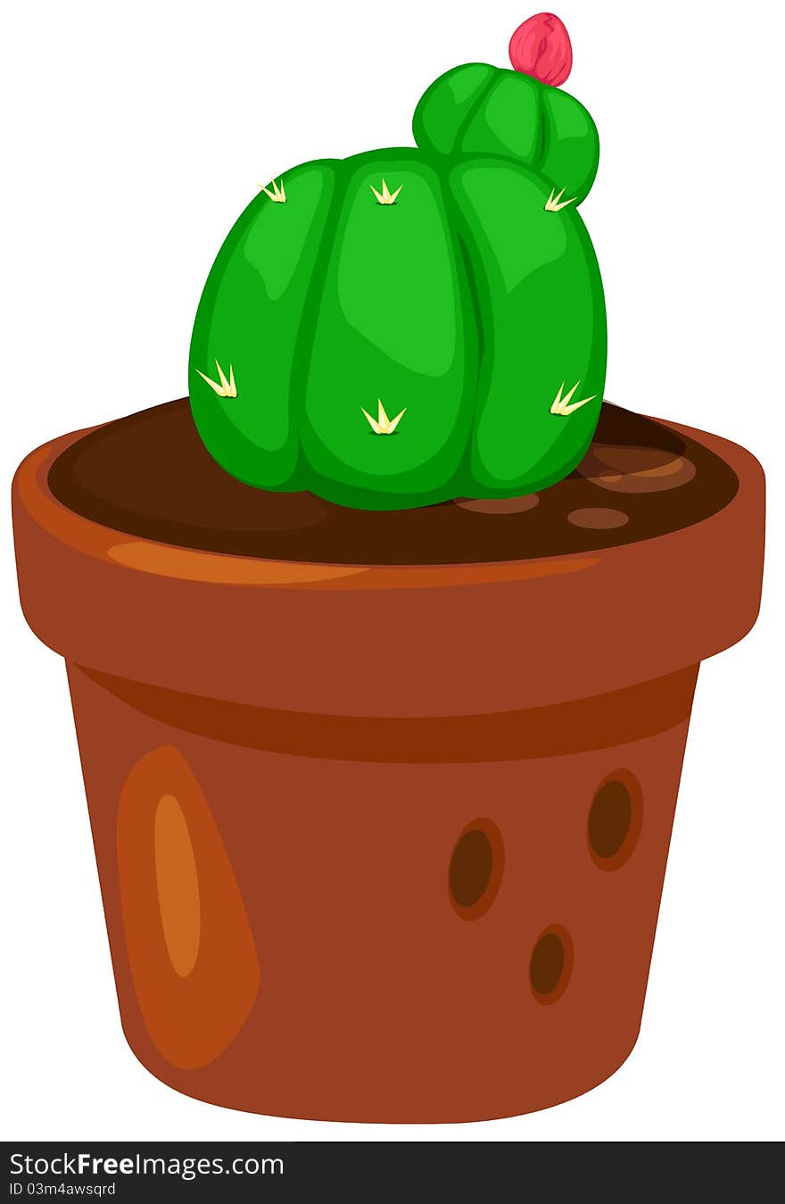 Illustration of isolated cactus on white background