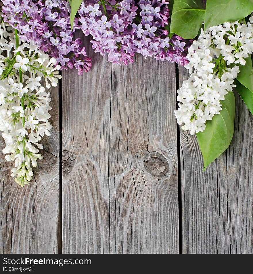 The beautiful lilac on a wooden surface