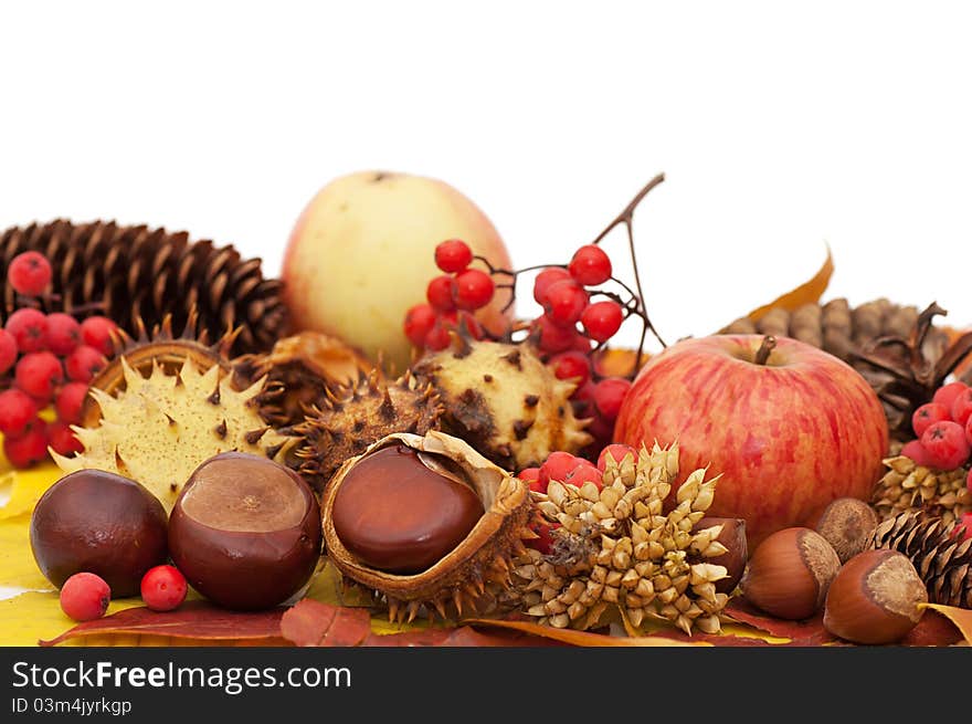 Autumn leaves and fruits