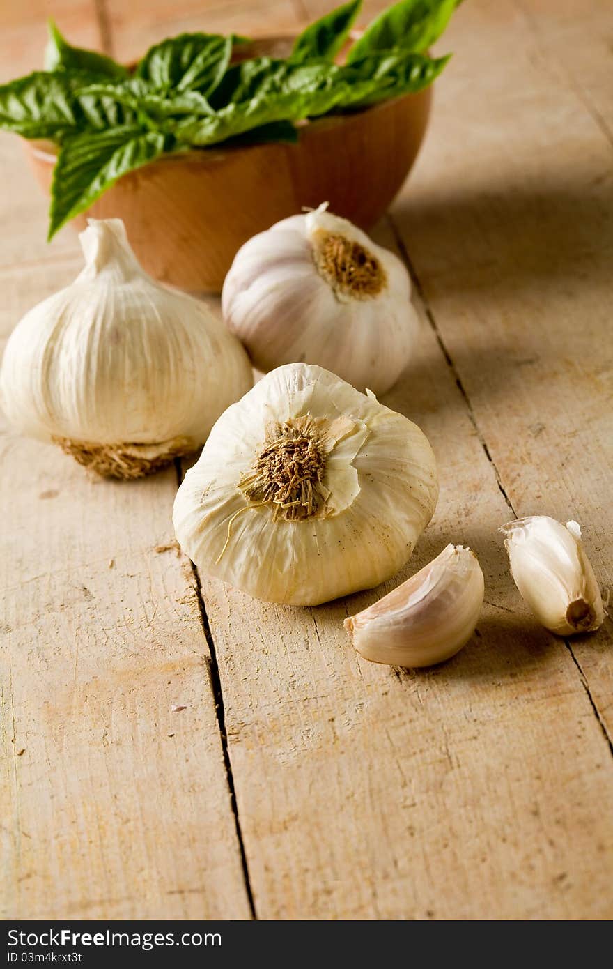 Garlic