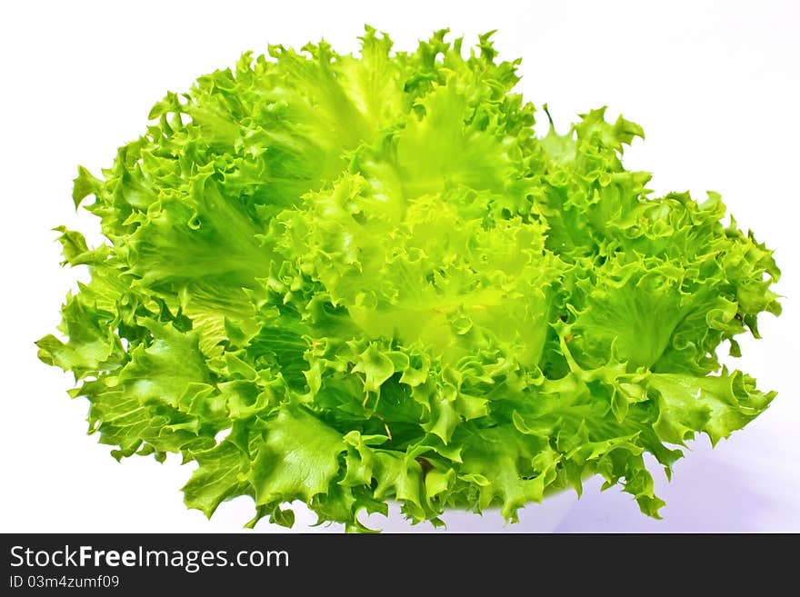 Fresh green iceberg lettuce