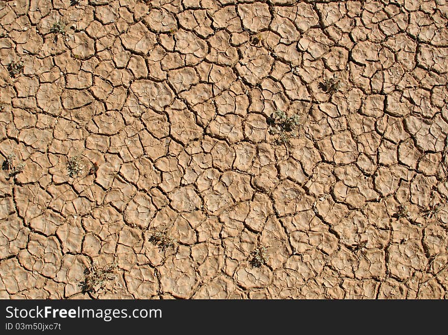 Dried mud Death Valley National Park