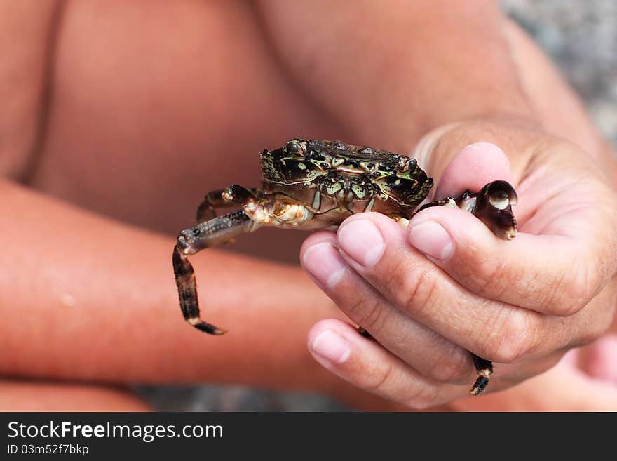 The malicious crab in man hands