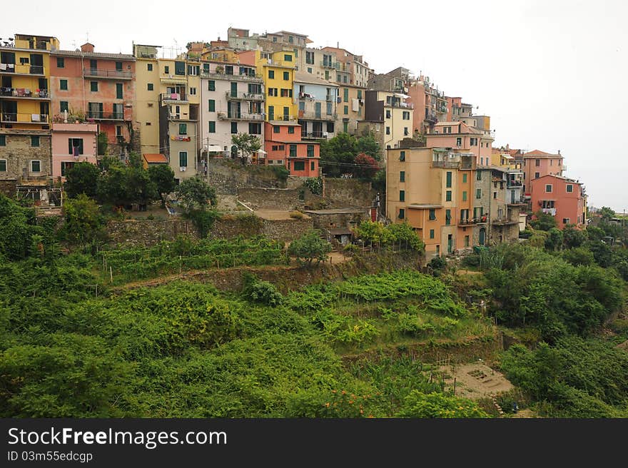 Italian coastal village Corniglia