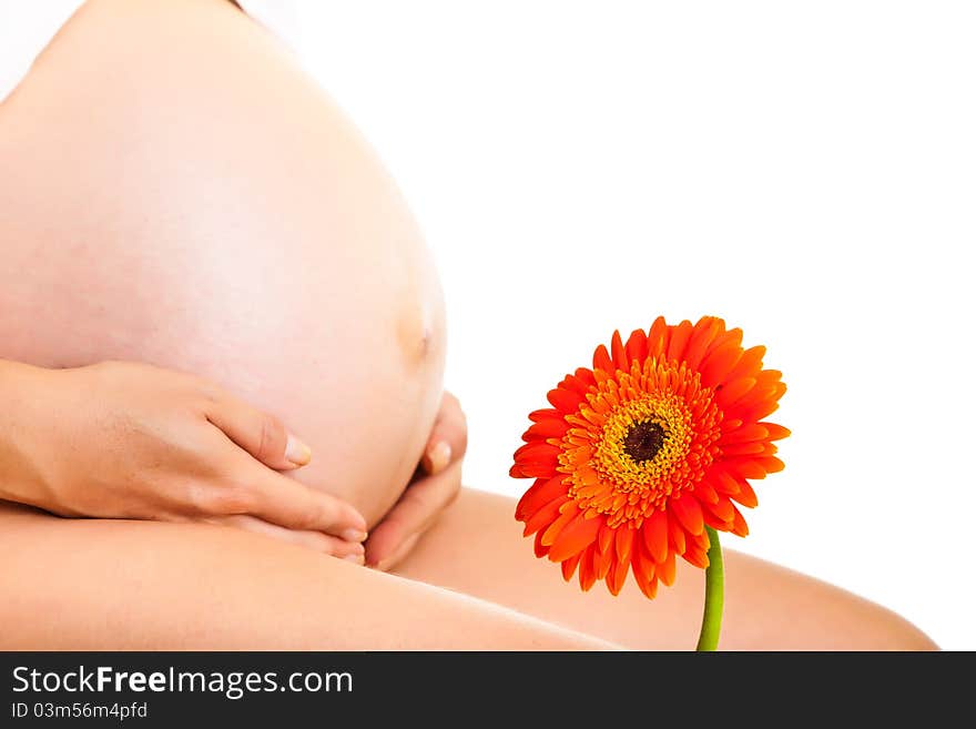 Pregnant woman holding gerbera flower isolated on white. Pregnant woman holding gerbera flower isolated on white