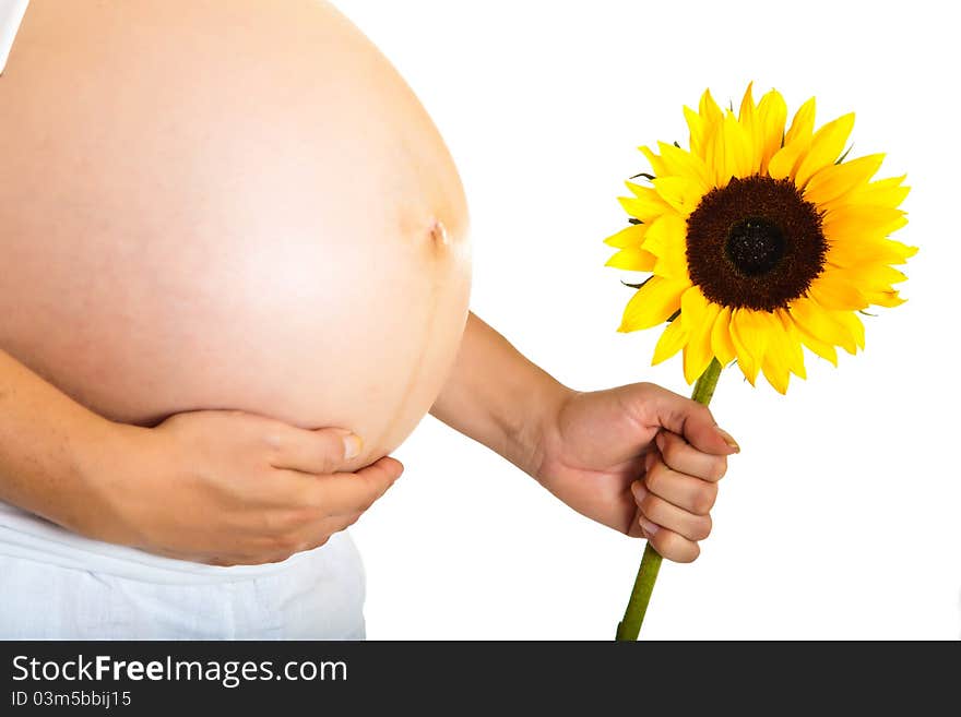 Pregnant woman holding sunflower isolated on white