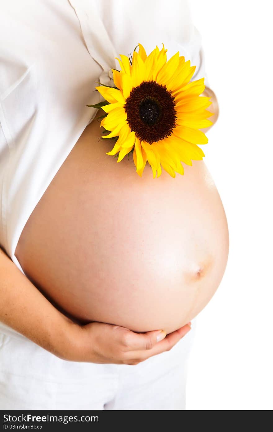 Pregnant woman holding sunflower isolated on white