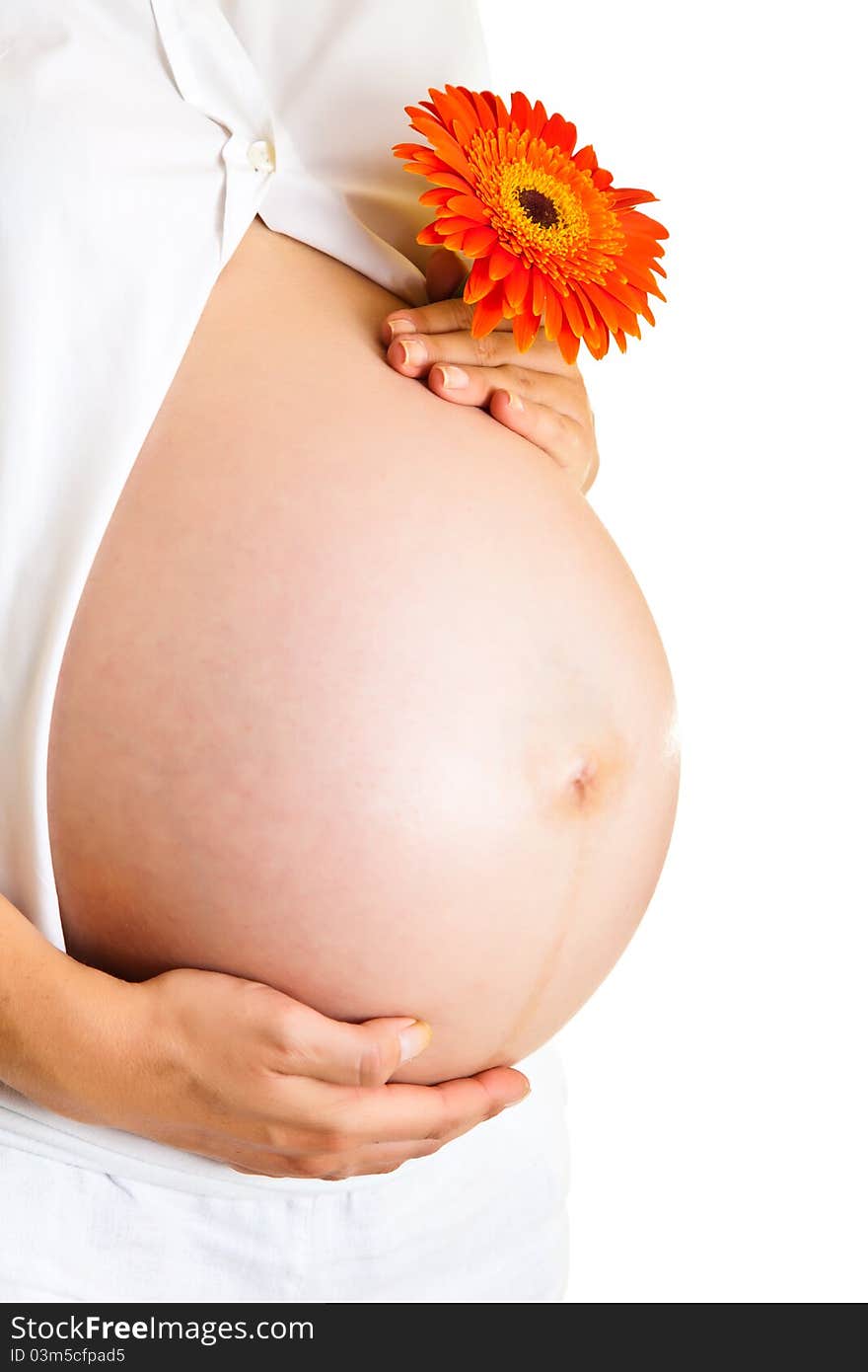 Pregnant woman holding gerbera flower isolated on white. Pregnant woman holding gerbera flower isolated on white