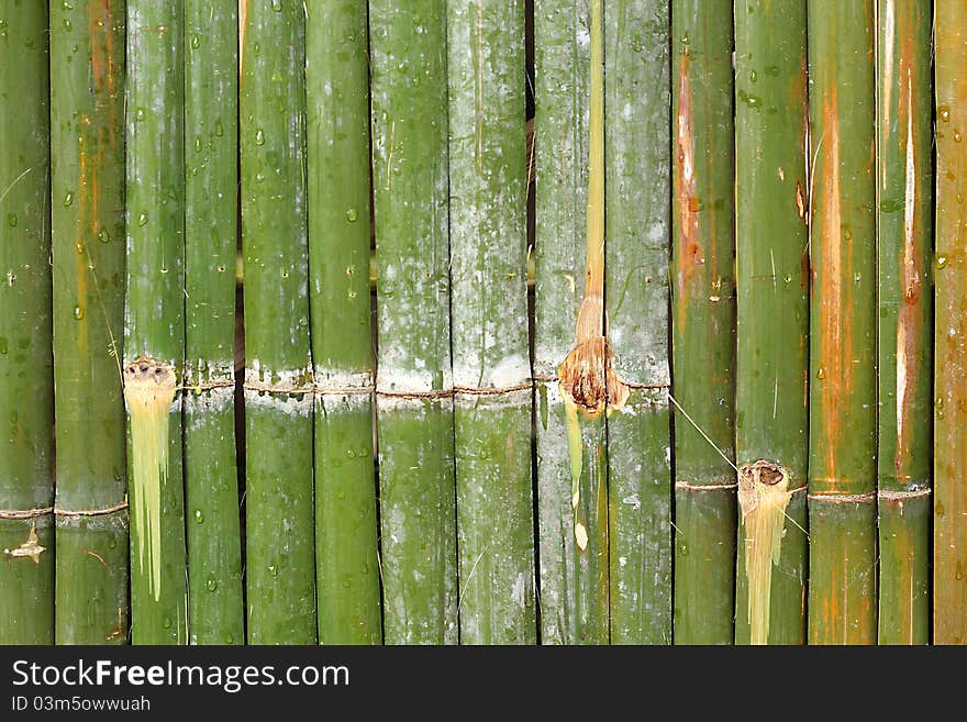 Bamboo background, texture, found in Asia