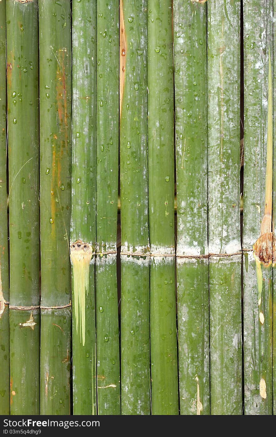 Bamboo background, texture, found in Asia