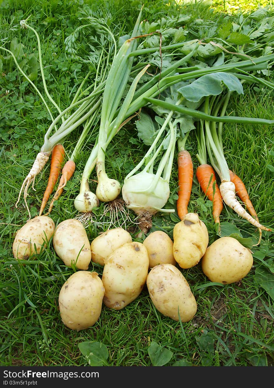 Vegetables