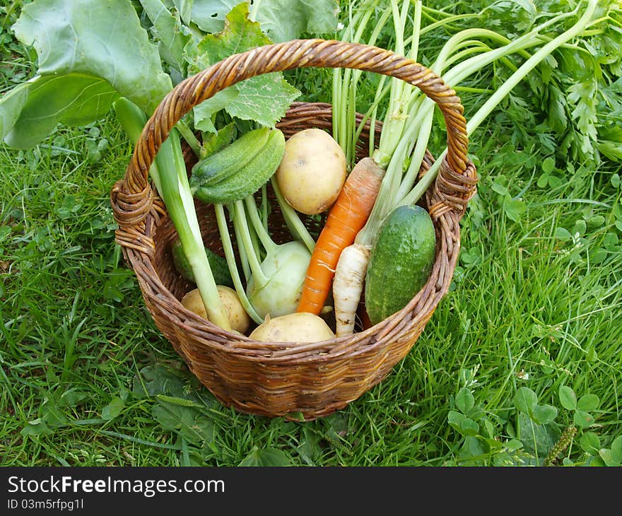 Vegetables and wicker on a background