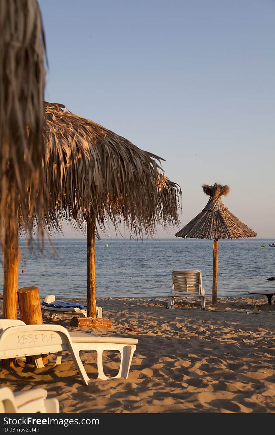 Beach With Palms Umbrella And Chairs