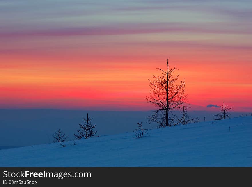 Winter landscape