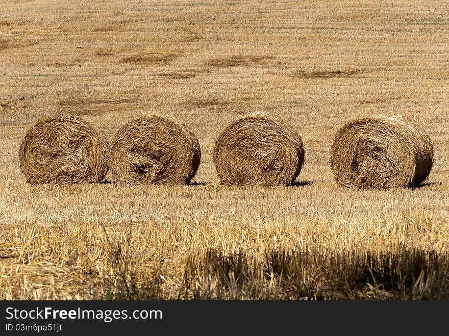 Field with four bales of hay