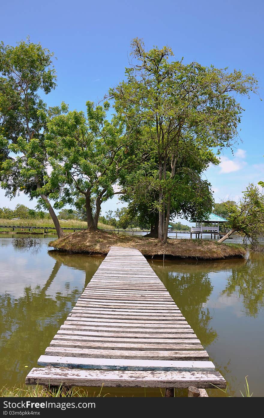 Wood bridge in garden with blue sky